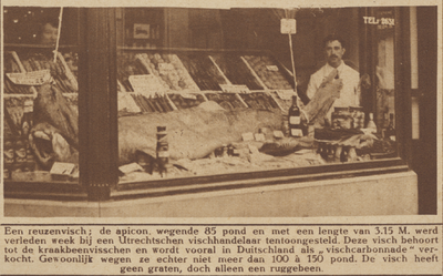 870449 Afbeelding van een 'reuzenvis' in de etalage van een viswinkel op de Vismarkt te Utrecht.